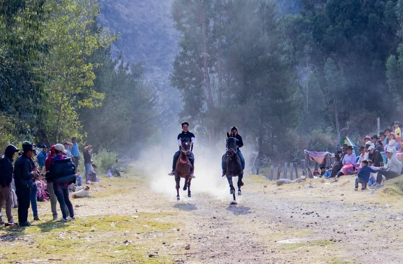 Tragedia en Aimogasta: Murió un caballo «pura sangre» tras sufrir fractura expuestas en sus patas delanteras WhatsApp Image 2026 10 05 at 11.01.09 AM