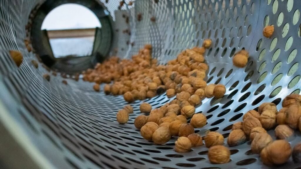 Cierre de la fábrica de nueces en Sanagasta afecta a 20 familias de la Región nueces
